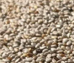 chia-seeds-9-147