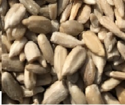 sunflower-seeds